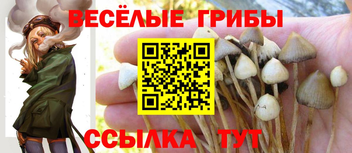 Галлюциногенные грибы прущие грибы  Вход с VPN  Коммунар 
