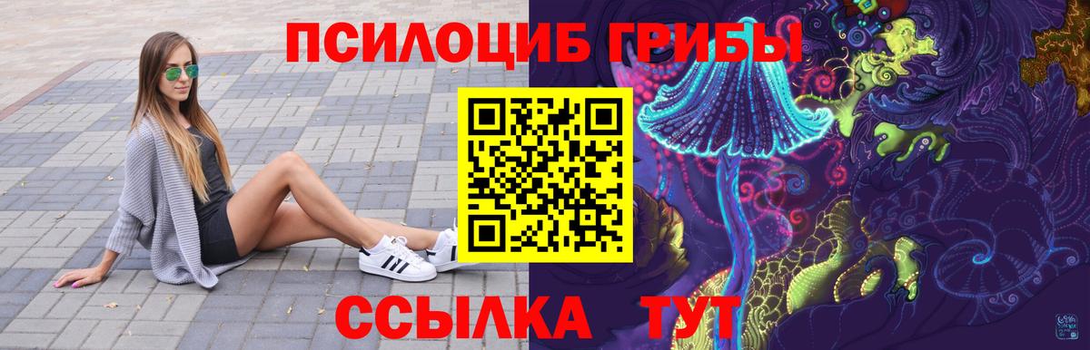 Псилоцибиновые грибы прущие грибы Коммунар